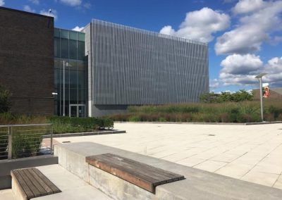 SUNY Purchase CITL